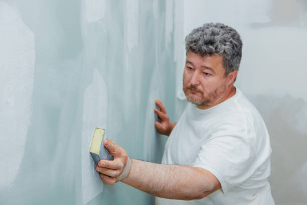 Best Attic Mold Removal  in Earlham, IA