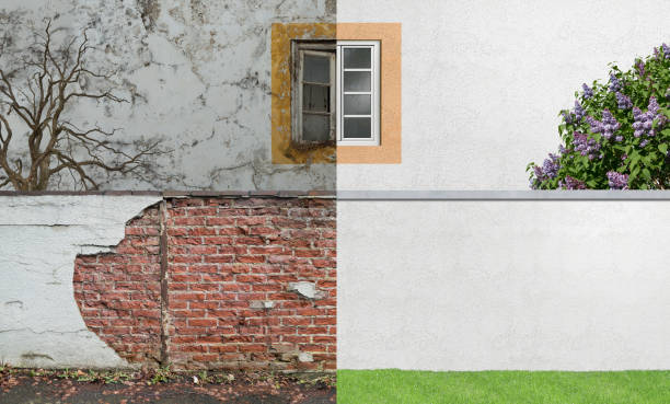 Reliable Earlham, IA Mold Removal Solutions